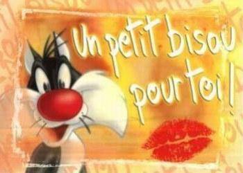 c pr toi